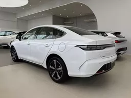 BYD King