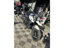 Tiger 800