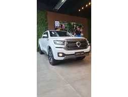 GWM Poer P30
