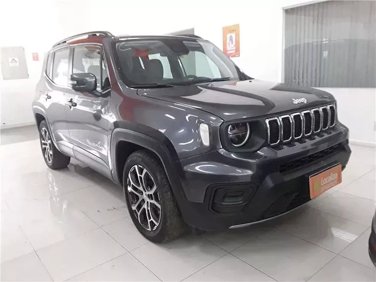 Jeep Renegade Cinza 2