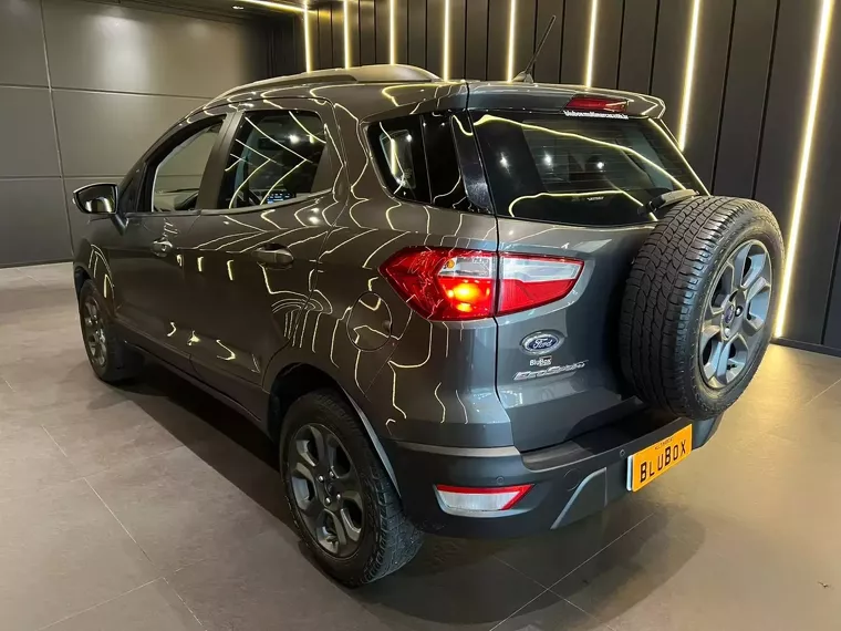 Ford Ecosport Cinza 4