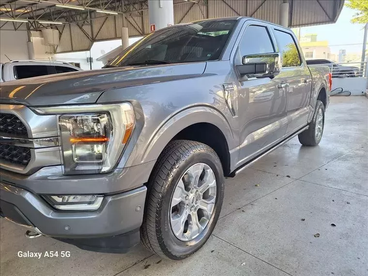 Ford F-150 Cinza 9