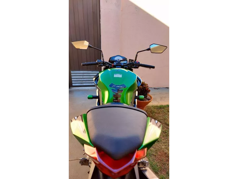 Kawasaki Z Verde 11