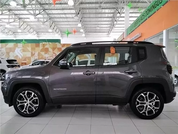 Jeep Renegade Cinza 3