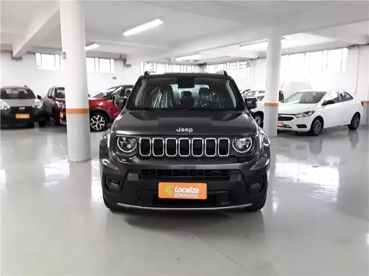 Jeep Renegade Cinza 9