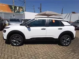 C4 Cactus