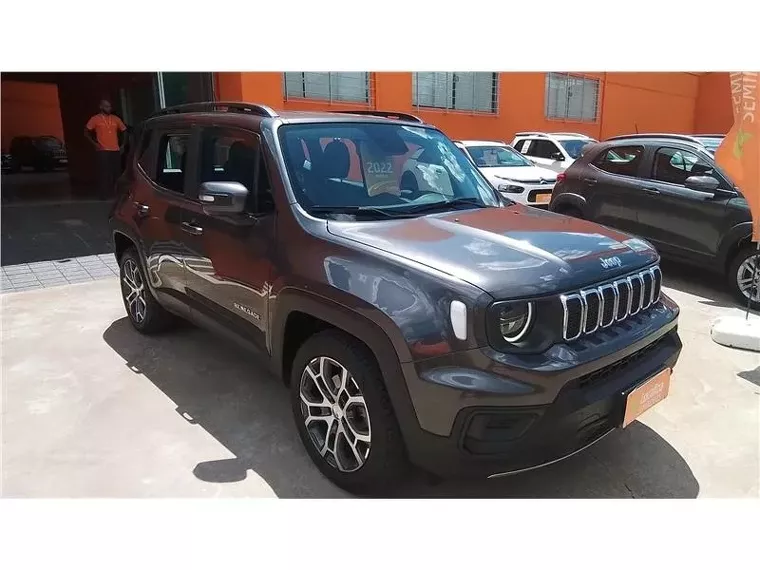 Jeep Renegade Cinza 3