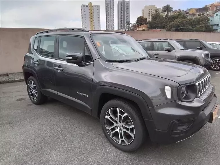 Jeep Renegade Cinza 13