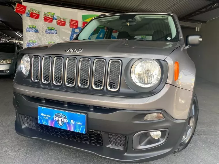 Jeep Renegade Cinza 10