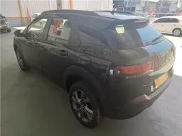 C4 Cactus