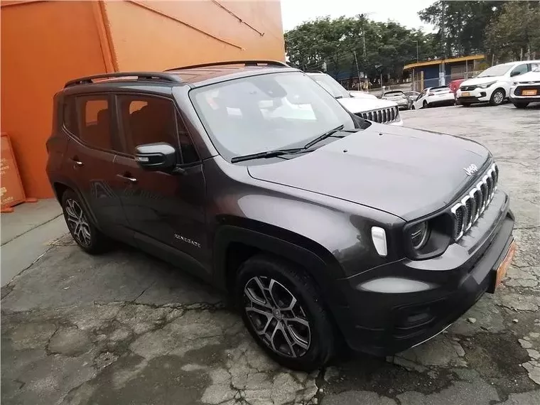 Jeep Renegade Cinza 3