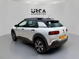 C4 Cactus