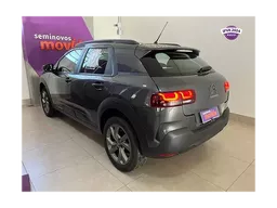 C4 Cactus