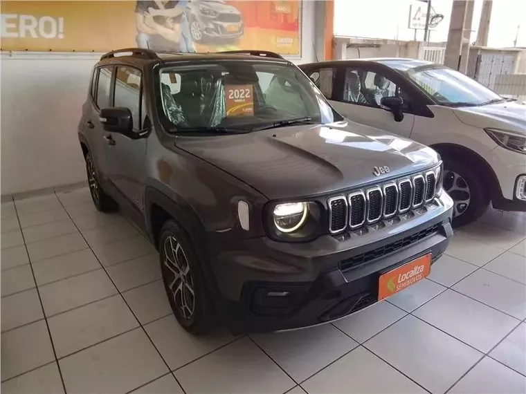 Jeep Renegade Cinza 4