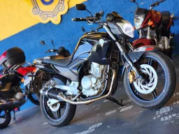 YS 250