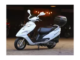 Burgman