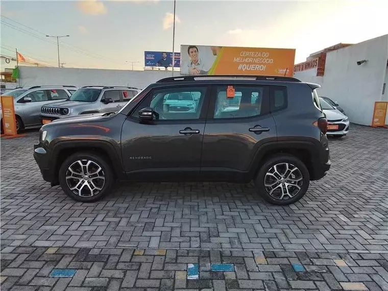 Jeep Renegade Cinza 1