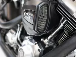 Harley-Davidson Softail