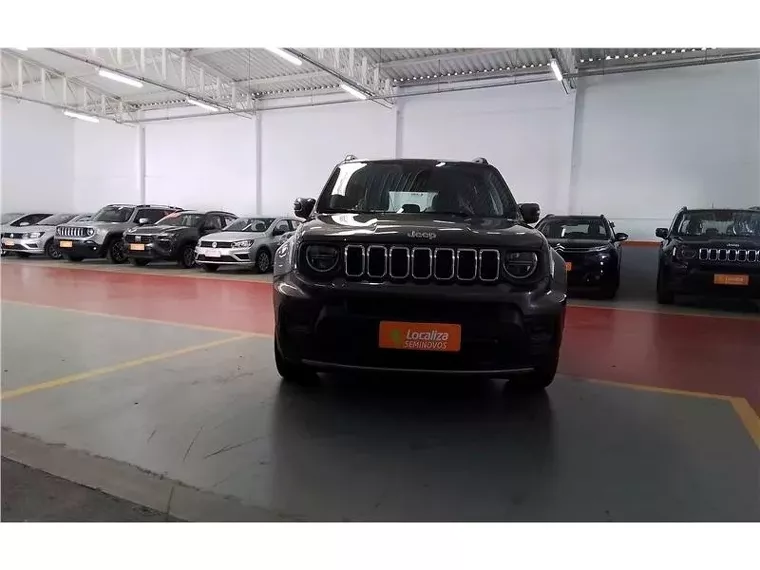 Jeep Renegade Cinza 9