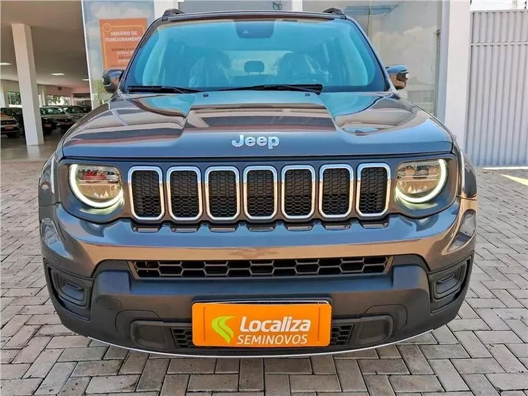 Jeep Renegade Cinza 1