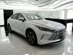 BYD King