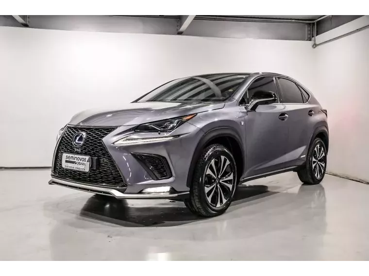 Lexus NX 300H Cinza 18