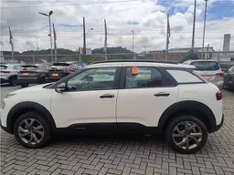 C4 Cactus