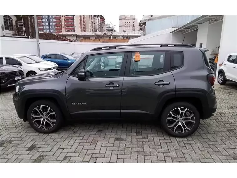 Jeep Renegade Cinza 2