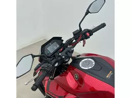 YS 250
