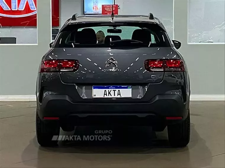 Citroën C4 Cactus Cinza 13