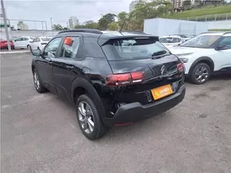 C4 Cactus