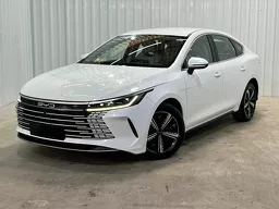 BYD King