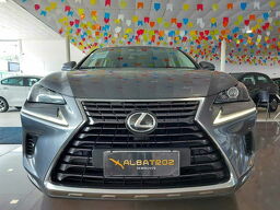 Lexus NX 300