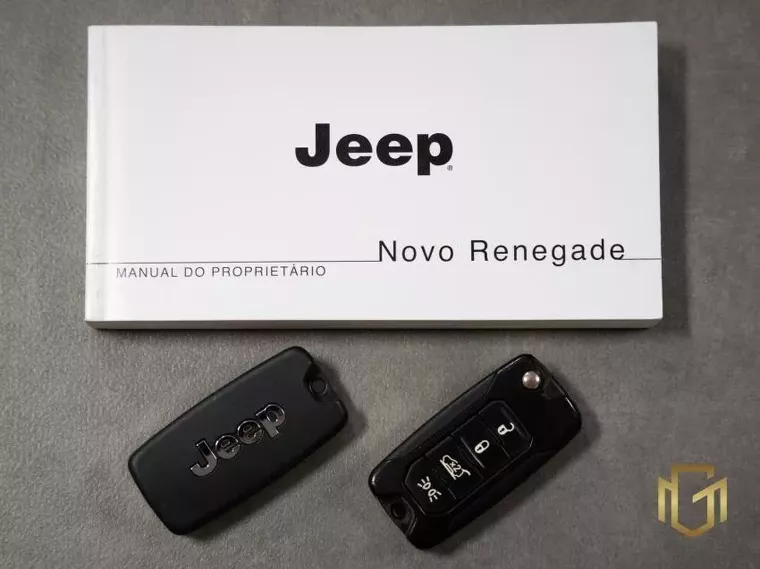 Jeep Renegade Branco 19