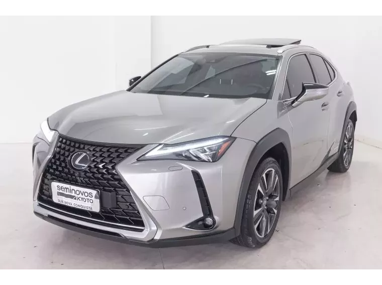 Lexus UX 250H Cinza 1