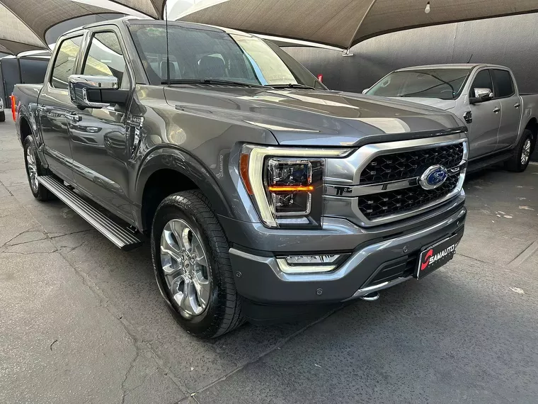 Ford F-150 Prata 10