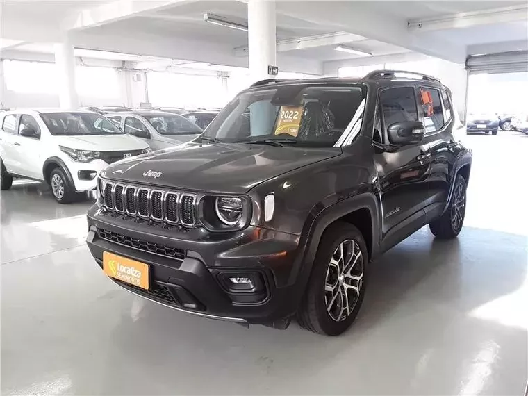 Jeep Renegade Cinza 1