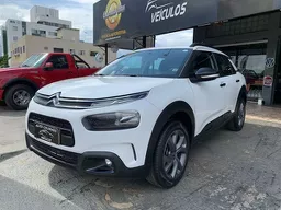 C4 Cactus