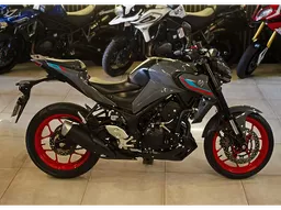 Tiger 900