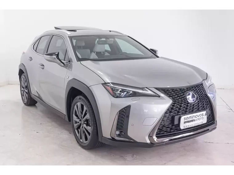 Lexus UX 250H Cinza 4