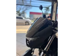 YS 250