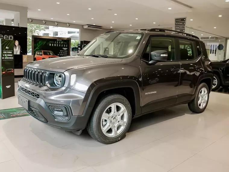 Jeep Renegade Cinza 17