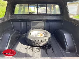 Chevrolet D20