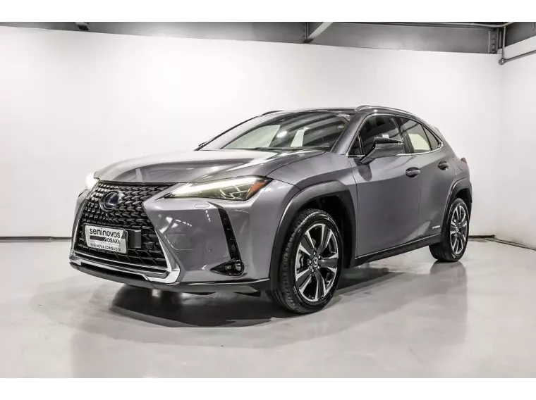 Lexus UX 250H Cinza 12