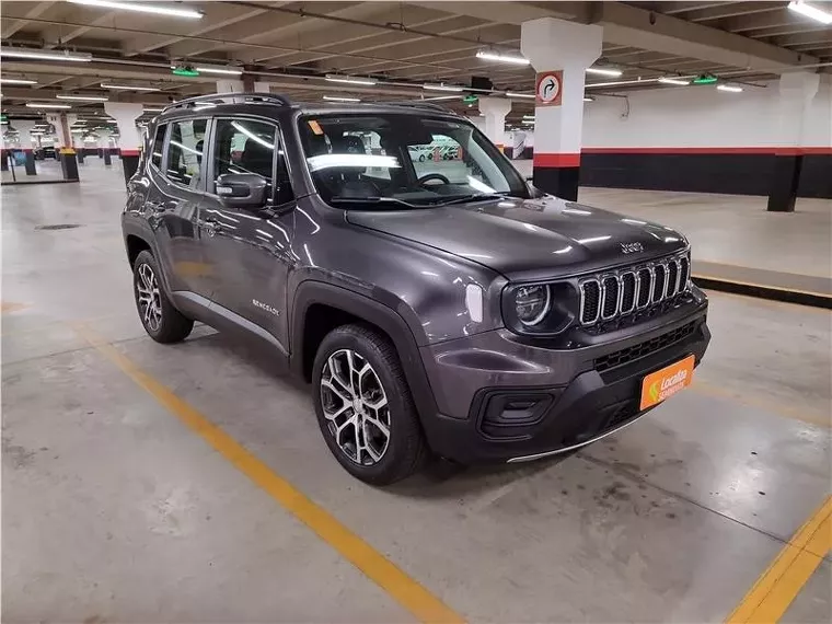 Jeep Renegade Cinza 2