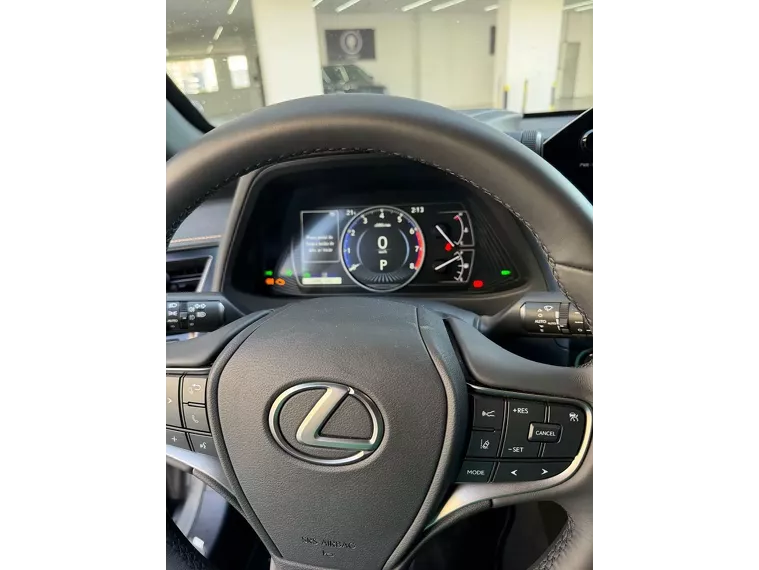 Lexus UX 250H Cinza 7