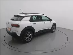 C4 Cactus