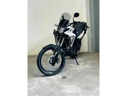 XRE 300