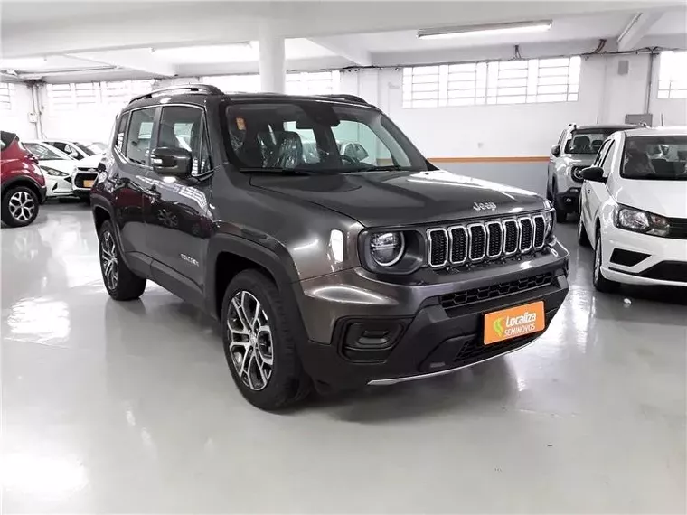 Jeep Renegade Cinza 2