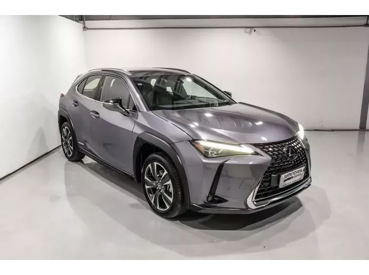 Lexus UX 250H Cinza 20